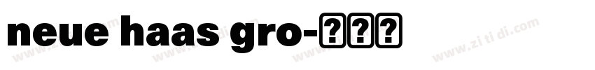 neue haas gro字体转换